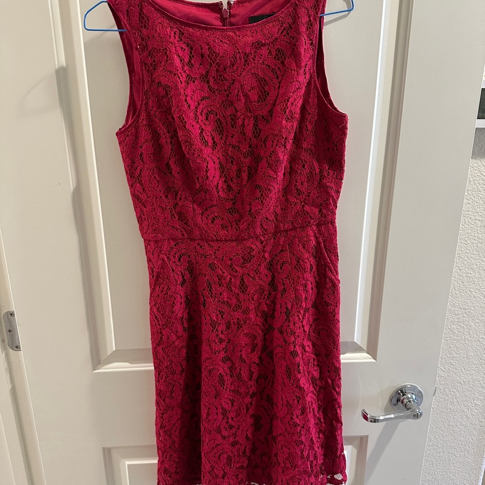 Adrianna Papell Fuchsia Lace Mini Dress